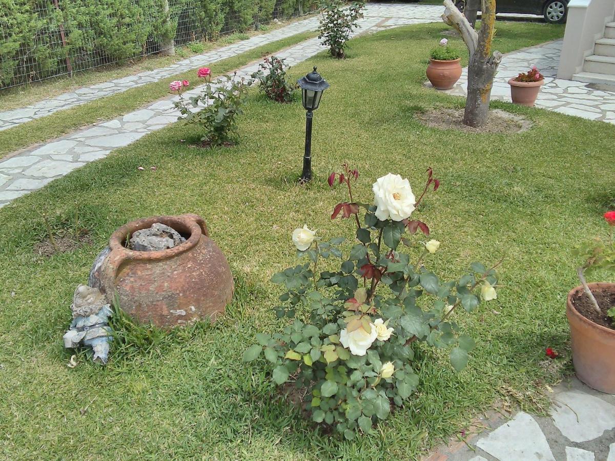 Lefkáda Casa Memories 아파트 외부 사진